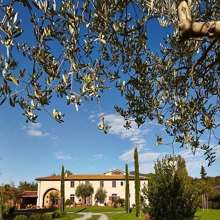B&B Ai Condotti Di Pisa Da Filippo San Giuliano Terme Exterior photo